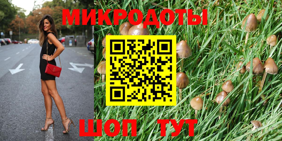 купить закладку  Вход с VPN  Ейск  Псилоцибиновые грибы Psilocybine cubensis 